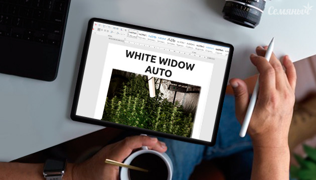 Гроурепорт сорта Auto White Widow fem от Pyramid Seeds